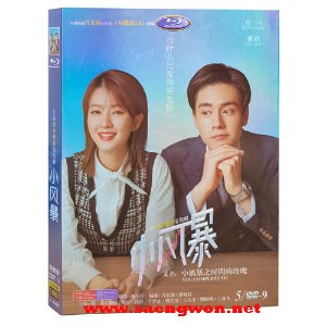 호일천 소풍폭지시간적매괴 小风暴DVD 1회~40회